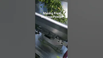 Moringa Powder Machine Moringa Moringaleaves Moringapowder 