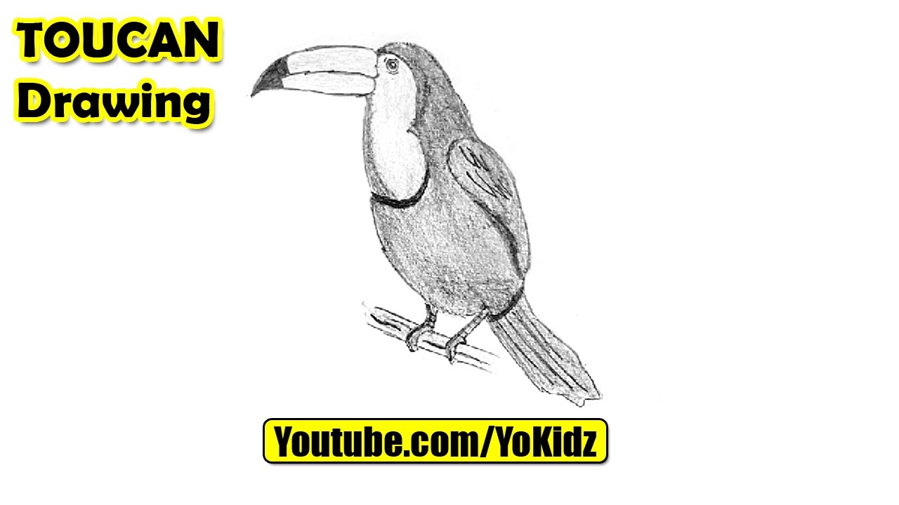 How to draw a TOUCAN for kids - YouTube
