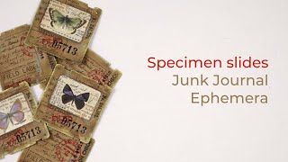 Craft &amp; Chat | Specimen Slides | Junk Journal Ephemera