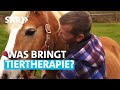 So hilfreich sind Tiere in der Therapie | SWR odysso