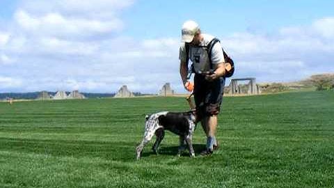 Force Fetch - Making Progress