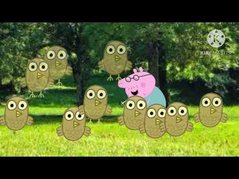 baby tv draco falling tree