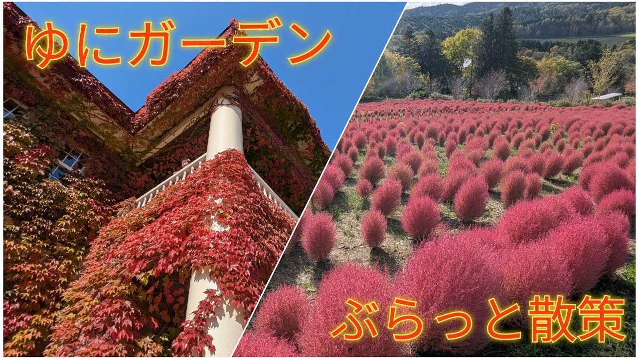 ゆにガーデンぶらっと散策【過走行ワゴンRで走り回り動画撮ってます】まだまだ走れます