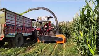 Shaktiman Maize Harvester   Fodder Harvester  Mobile Shredder  Two Liner Harvester