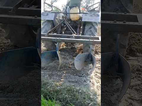 इक की खेती #blog #viral #shorts #youtube #shortvideo