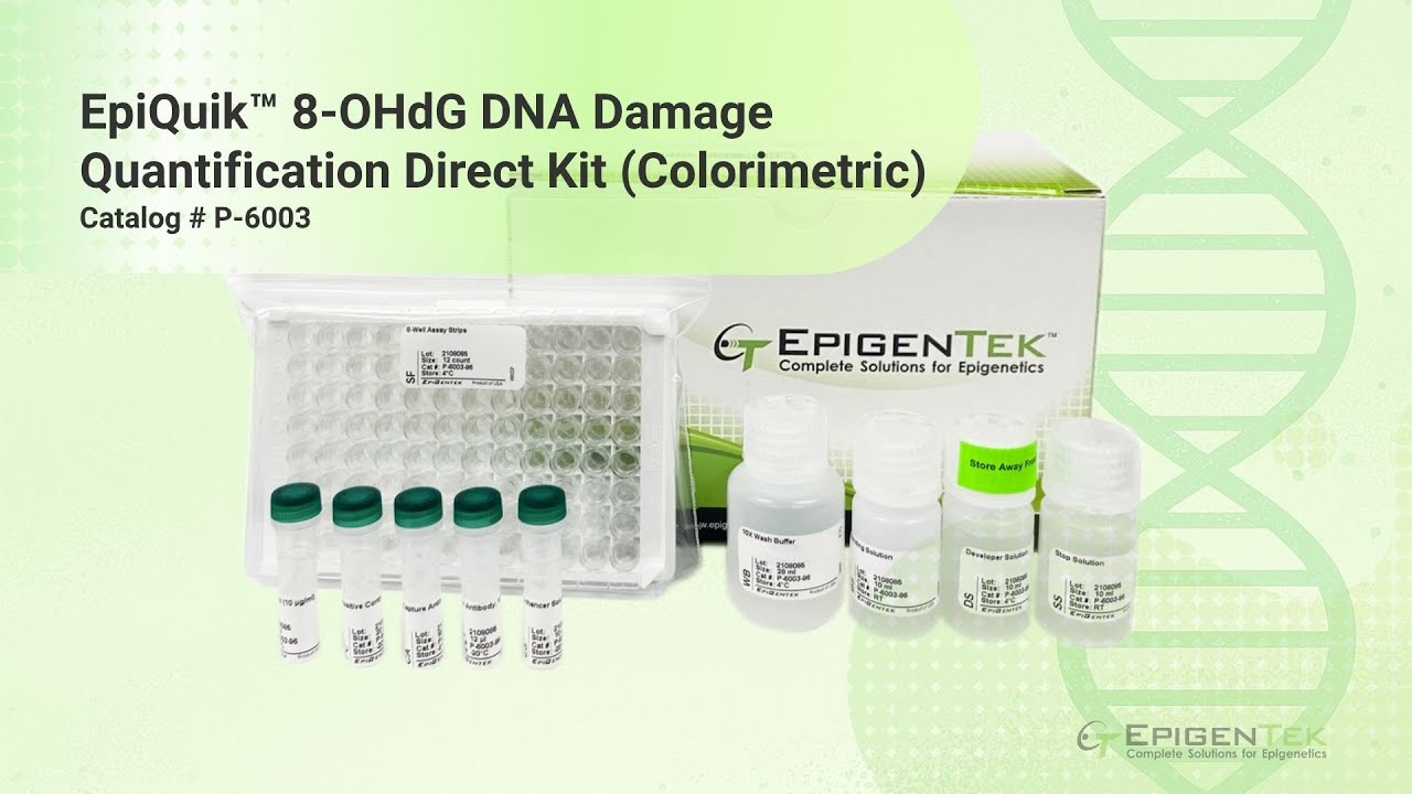 8-OHdG DNA Damage Quantification Direct Kit (Colorimetric) | EpiQuik™ User Guide