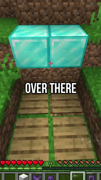 Smartest Minecraft Player (1 69420 iq)