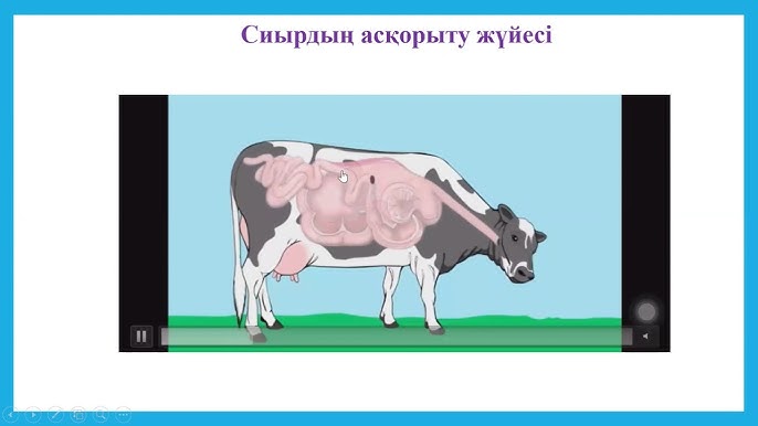 Лесби кончалары скрипт Ұялы телефоннан орысша секс видео