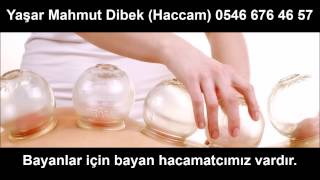 Hacamatakademi Hacamat Ve Sülük Tedavi Merkezi.