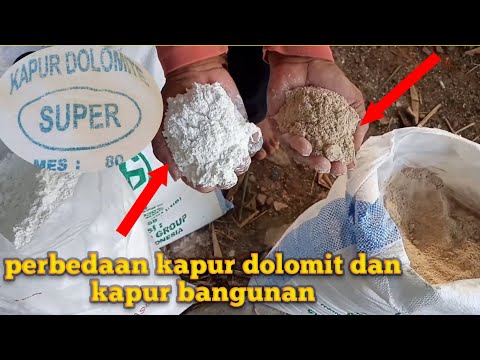 Video: Di mana anda boleh mendapatkan batu kapur?