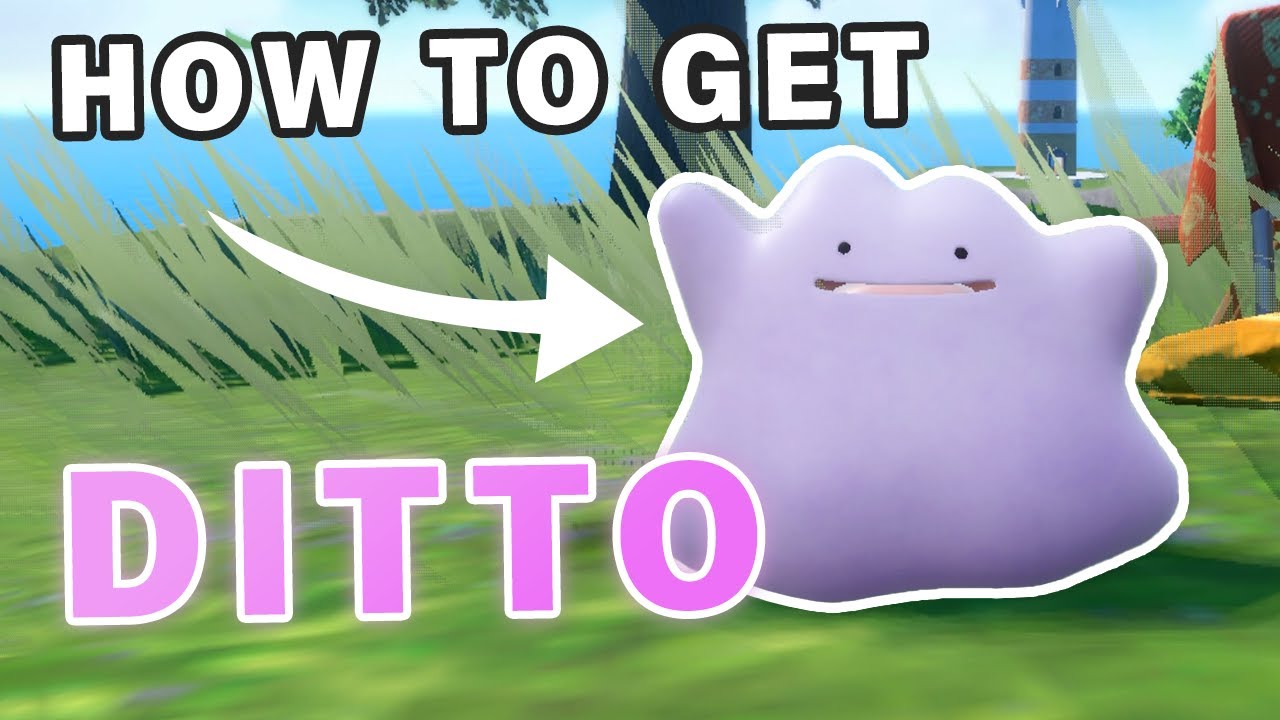How to Get and Catch Ditto  Pokemon Scarlet and Violet (SV)｜Game8