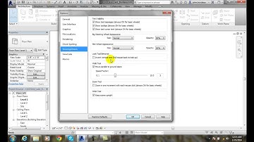 Revit 02-23 SteeringWheel Tab   Options