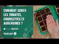 Tuto comment semer les tomates courgettes et aubergines   jardinerie gamm vert