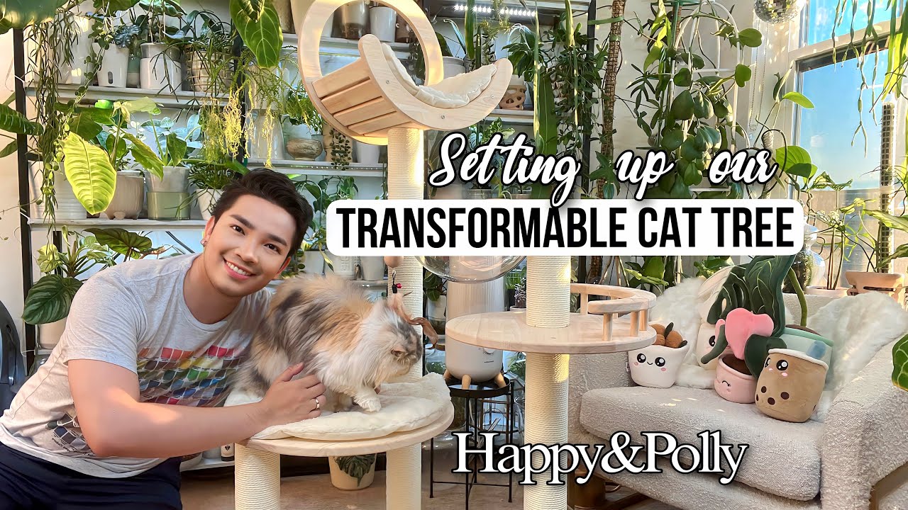Setting up a Transformable Cat Tree from Happy&Polly 🐈 YouTube