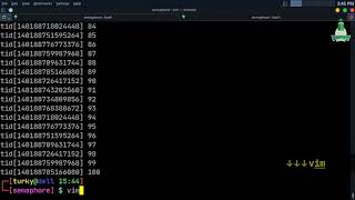 Semaphore in multi-threaded program (Mutual-Exclusion)