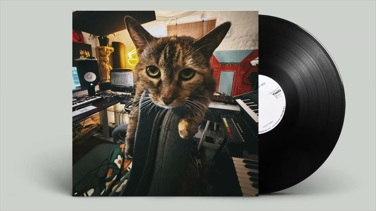 【フリートラック / ブーンバップ】hiphop type beats | 唾奇 × TEN'S UNIQUE | 