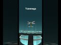 Yanma evolves into... #Yanmega #yanma #pokemongo #pokemon #dragonfly #pokedex #bug #evolution