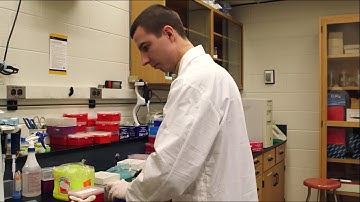 YorkU Science - Alexander Statsheuski