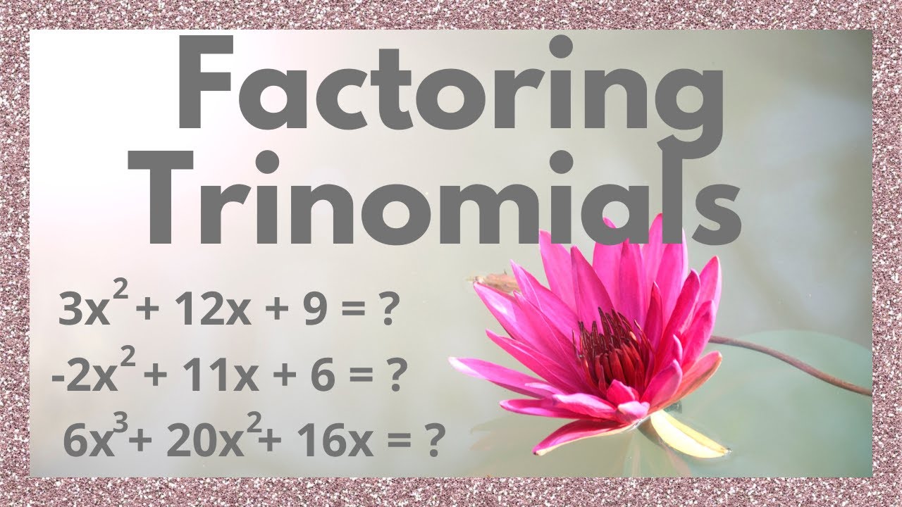 Factoring Trinomials when the Leading Coefficient is Not 1 | lots of practice examples