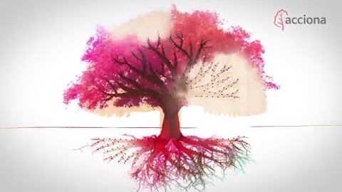 Innovation at ACCIONA