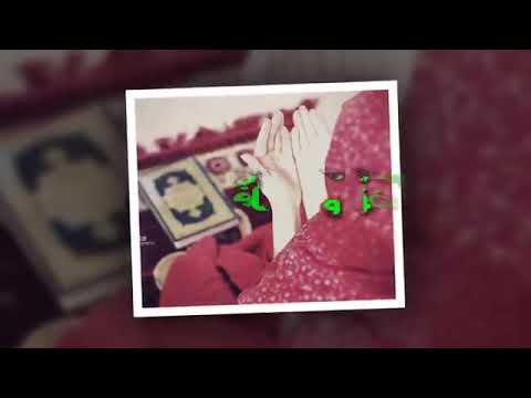 اغنية انين القلب 