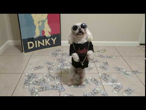 Dat Money Walk