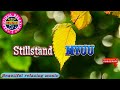 🎵 Beautiful Relaxing Music || Stillstand- by @Myuu || Beautiful Relaxing Music Channel.