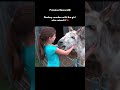 An Emotional Reunion: Donkey Meets the Girl Who Raised Him ❤️