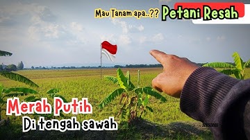 🏞️ 🏞️ KEMARAU BUKAN PENGHUJAN BUKAN || Petani Gelisah‼️