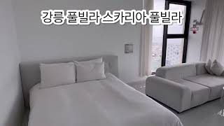 #여행지원 #NOL #노른자클럽 #야놀자 🏠 강릉 풀빌라 스카리아풀빌라 숙박 후기 ❤️ | 보또일기