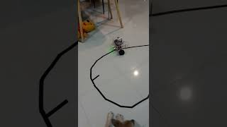 Self-Balancing Following Line Robot