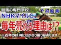 【競馬】NHKマイルC2022 荒れる傾向のGⅠ今年は？【競馬の専門学校】