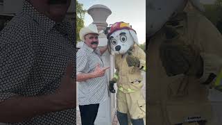 Vámonos a las fiestas del Pitic