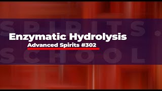 Understanding Enzymatic Hydrolysis for Spirits Students (# 302)