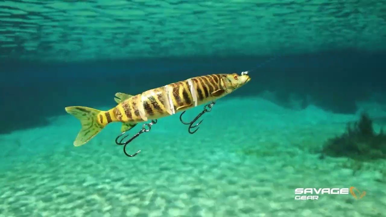 3D Hard Pike SS（3Dハードパイク SS）｜SAVAGE GEAR｜釣具の総合