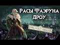 Дроу (Темные эльфы) Расы Фаэруна. Забытые Королевства Лор