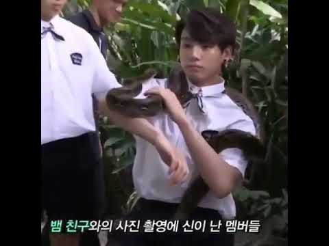 Jungkook with Snake 🐍