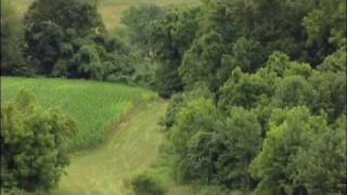 Streamside Forest Buffers Preserving Water Quality