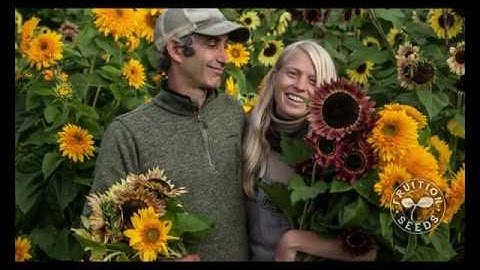 Biennial Seed Production Part 3: Petra Page-Mann, Fruition Seeds