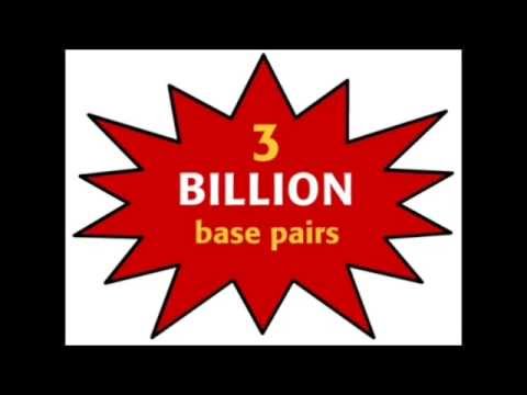 snps New 2022 SNPs là gì?