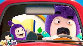 First Day Jitters | Oddbods | Cute Cartoons for Kids @Oddbods Malay