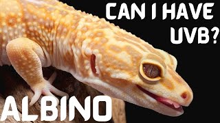 Can Albino Leopard Geckos Have UV Lighting