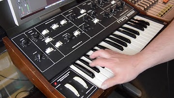 Moog Prodigy For Sale Demo