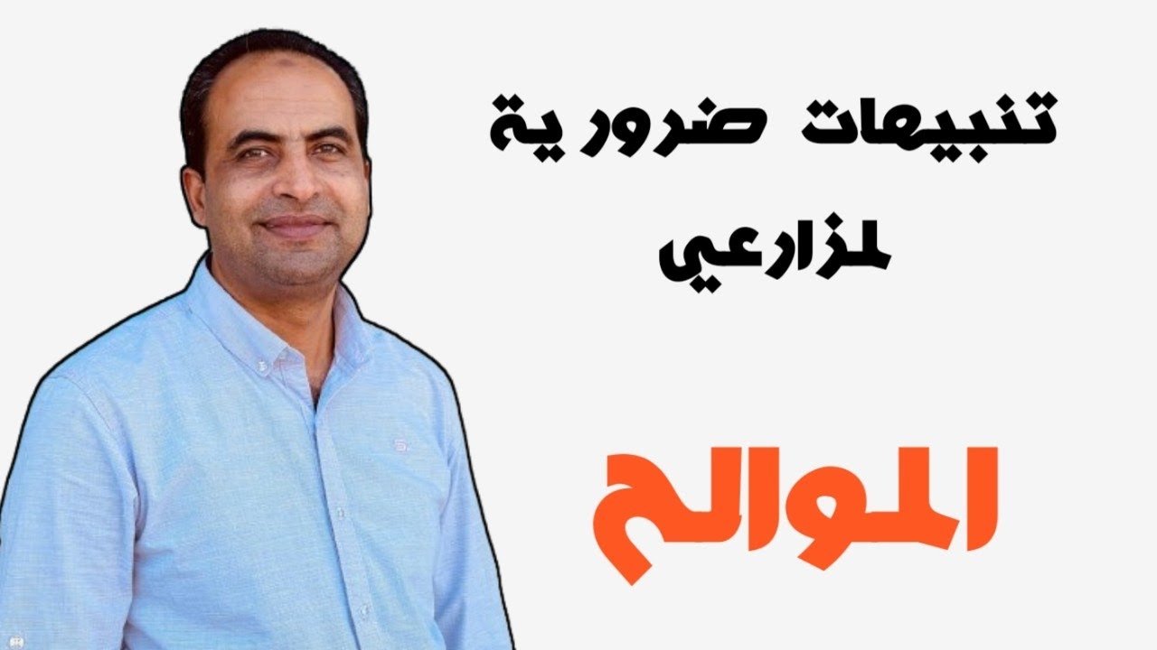 توصيات الموالح في شهر 10 اكتوبر || م محمد هنداوي