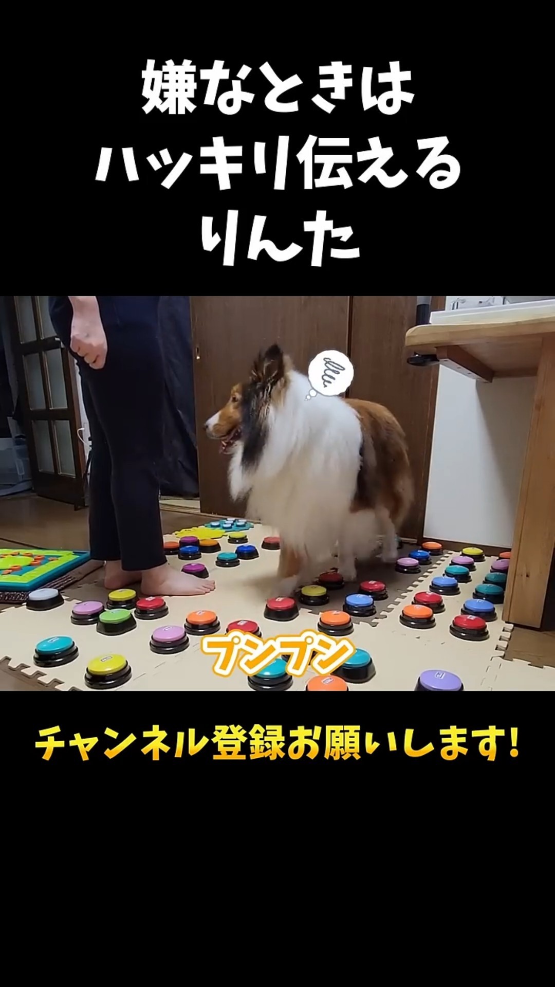 Talking Dog Rinta - YouTube