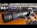 【カメラ】TAMRON 100-400mmF4.5-6.3 Di VC USDを使う！鳥を撮りたい！「EOS R」