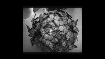 JURDAN BRYANT - Words For Thomas