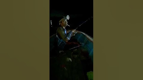 mancing udang galah || umpan cacing tanah vs cacing Nipah