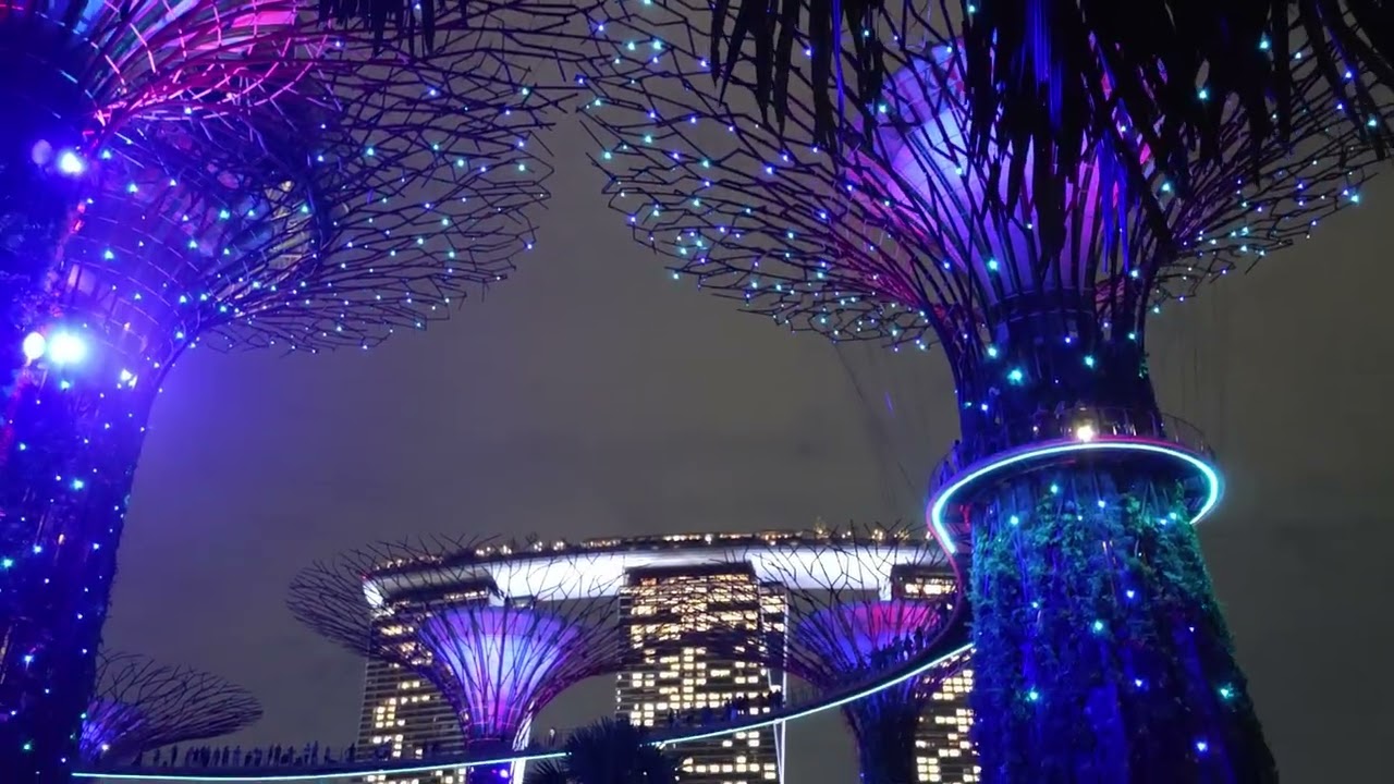 Singapore Super Tree Light Show - 2026