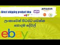 Best Items for Direct Shipping in Sri Lanka to Earn Dollars|පිටරට යවන්න හොදම දේවල්.